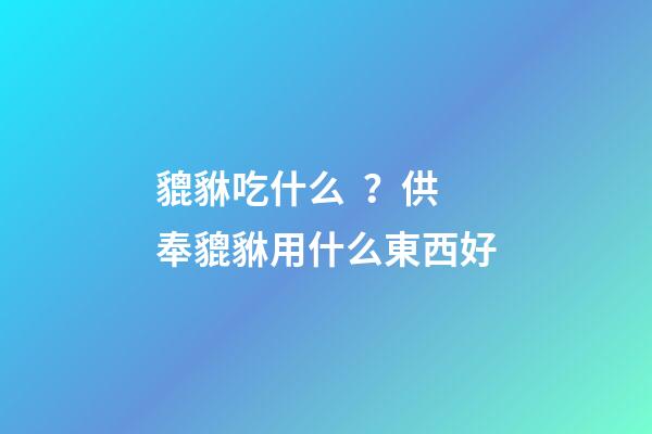 貔貅吃什么？供奉貔貅用什么東西好